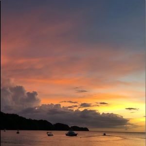 Meet your Posher, Ella